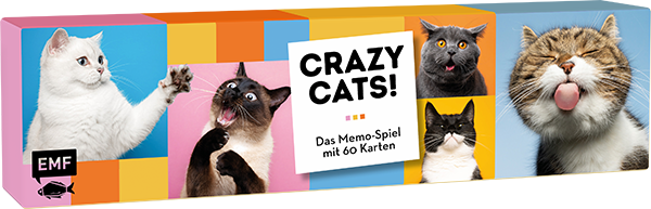 Memo-Spiel: Crazy cats!